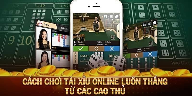 Các cửa cược phổ biến của trò chơi